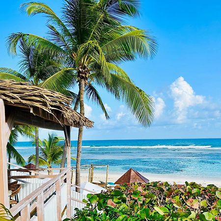 Acces Direct Plage, Vue Mer D'Exception, Les Gwada Studios, Village Vacances Sainte-Anne  Exterior photo